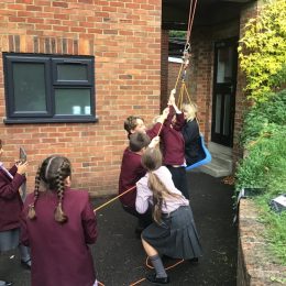 Year 5 Science 2