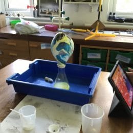 Year 6 Science 2