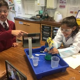 Year 6 Science