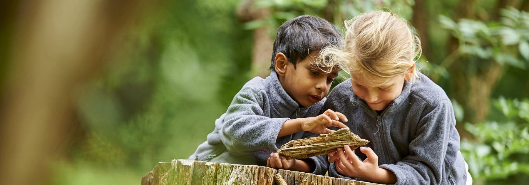 Pre-Prep Grow Their Tree Knowledge