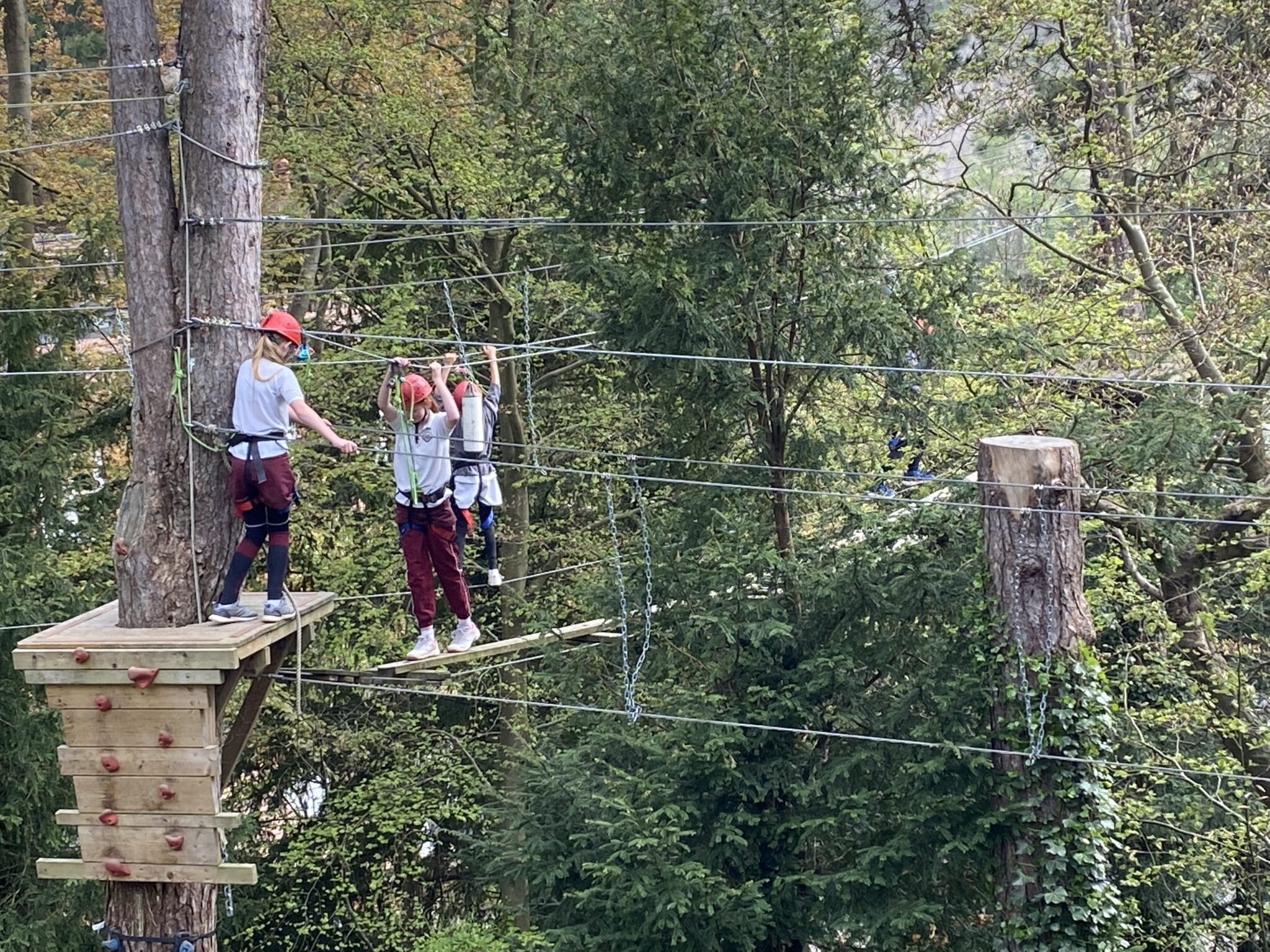 High Ropes Caterham Wildcats on the High Ropes - Caterham Prep