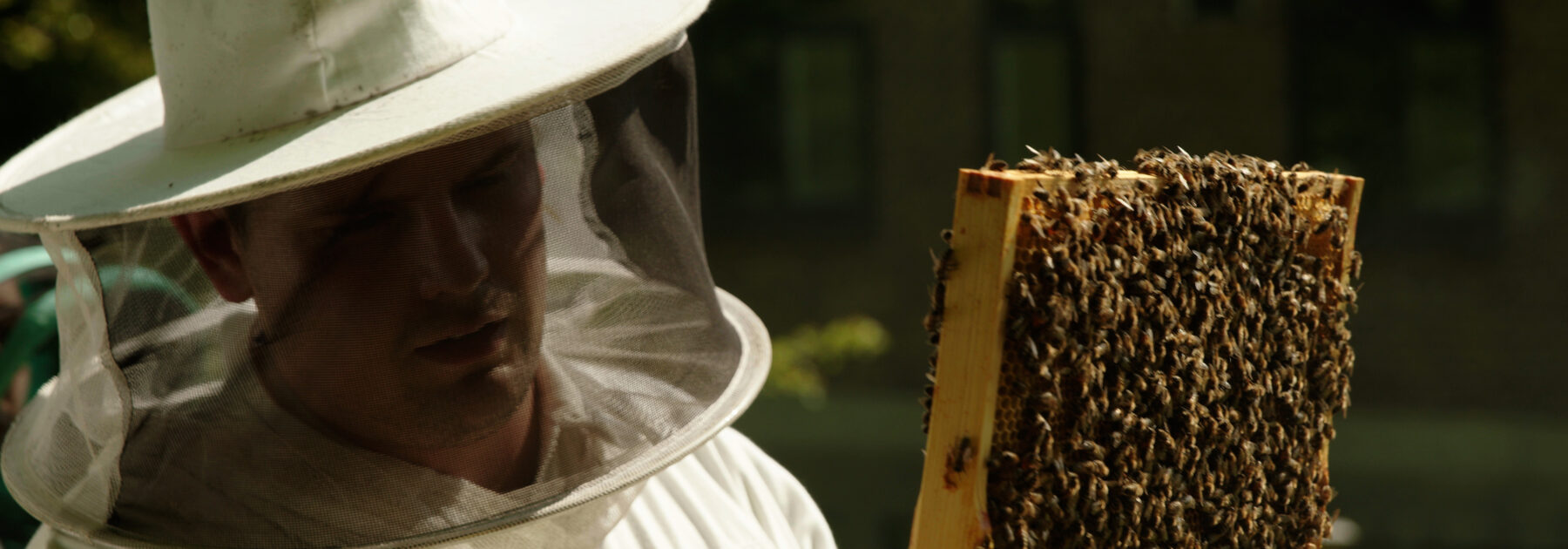 Bee-rilliant Honey Tasting