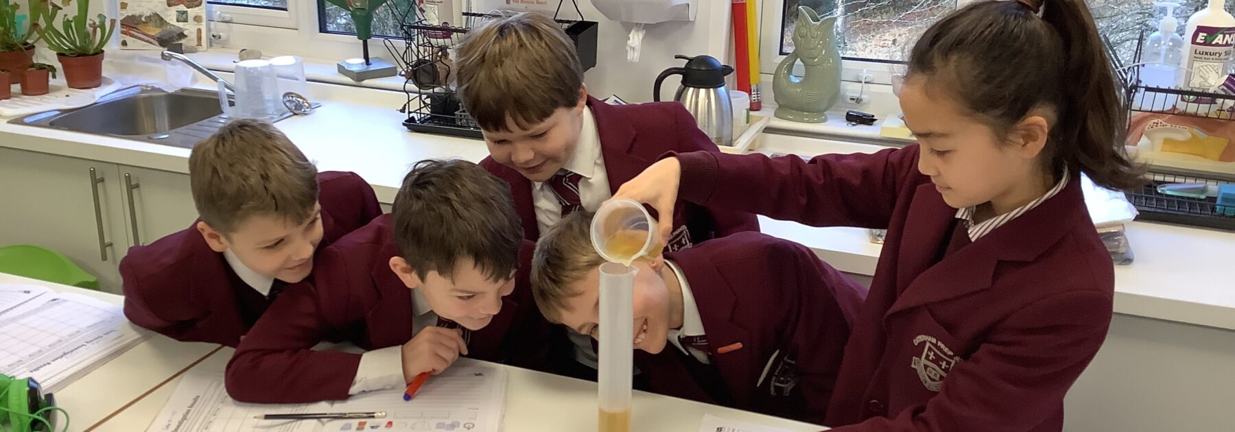 Year 4 Experiment