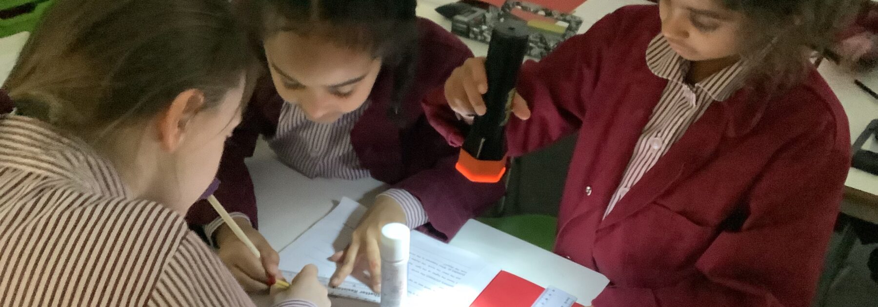 Shadow Studies in Year 4
