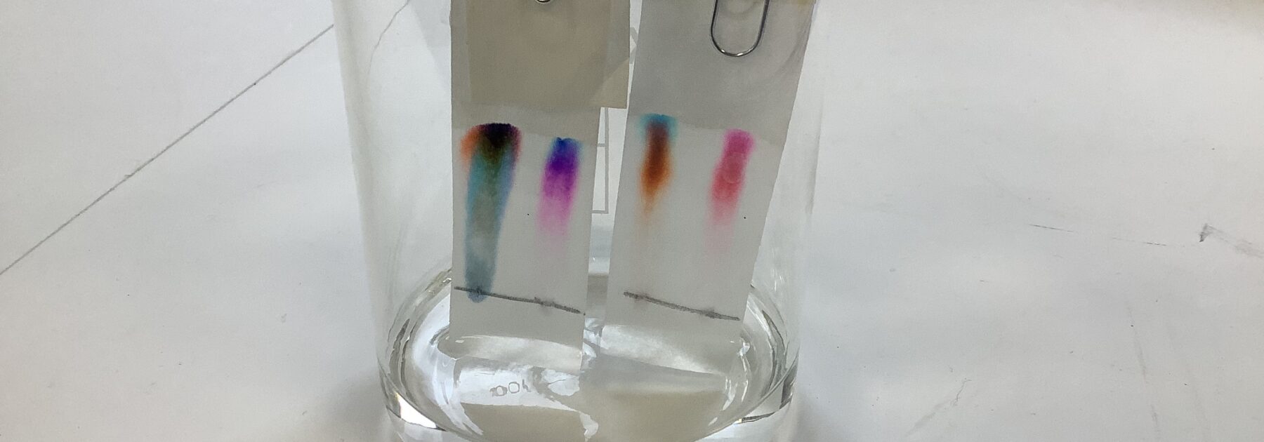 Colourful Chromatography
