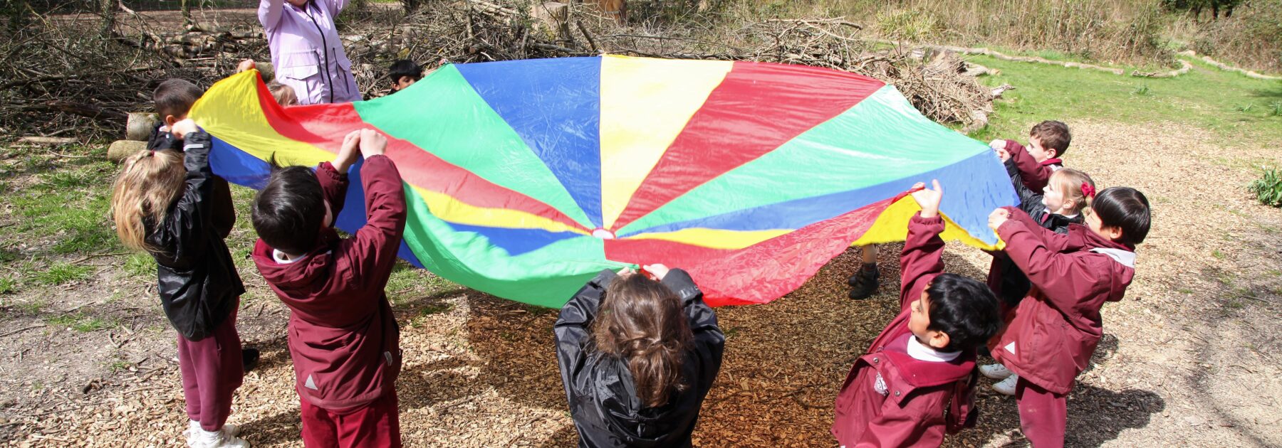 Lots to Learn in the Forest Classroom