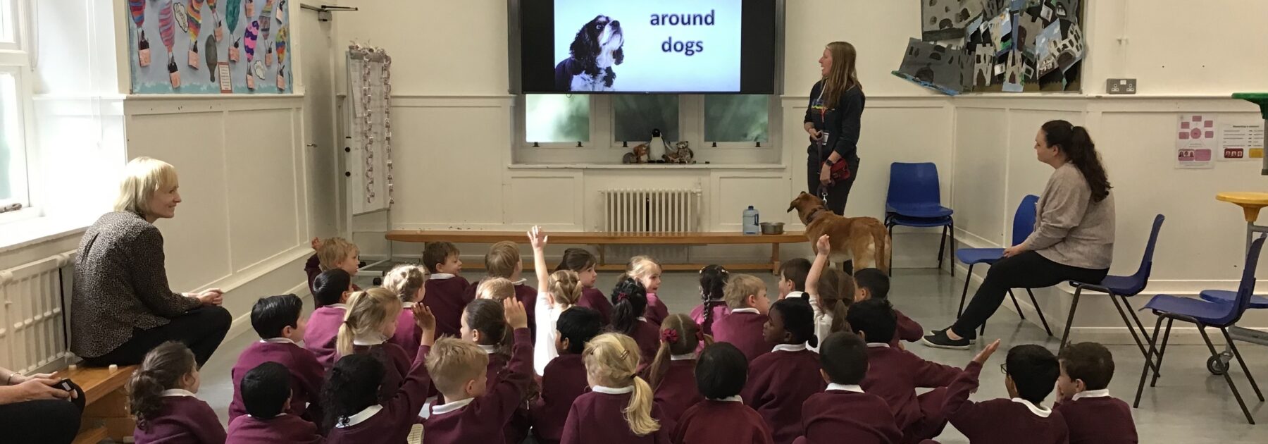 Nala Visits Pre-Prep