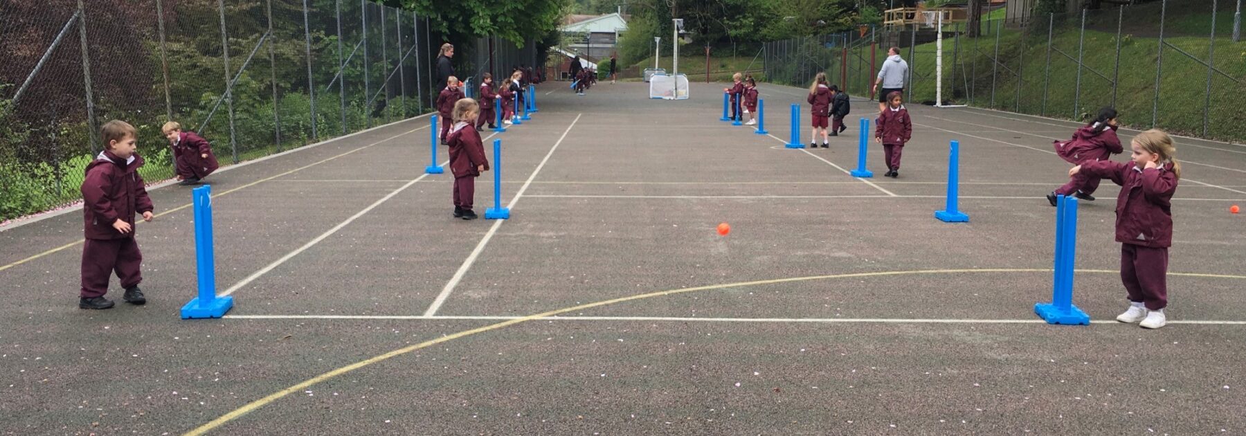 Fantastic Cricket Skills in Reception