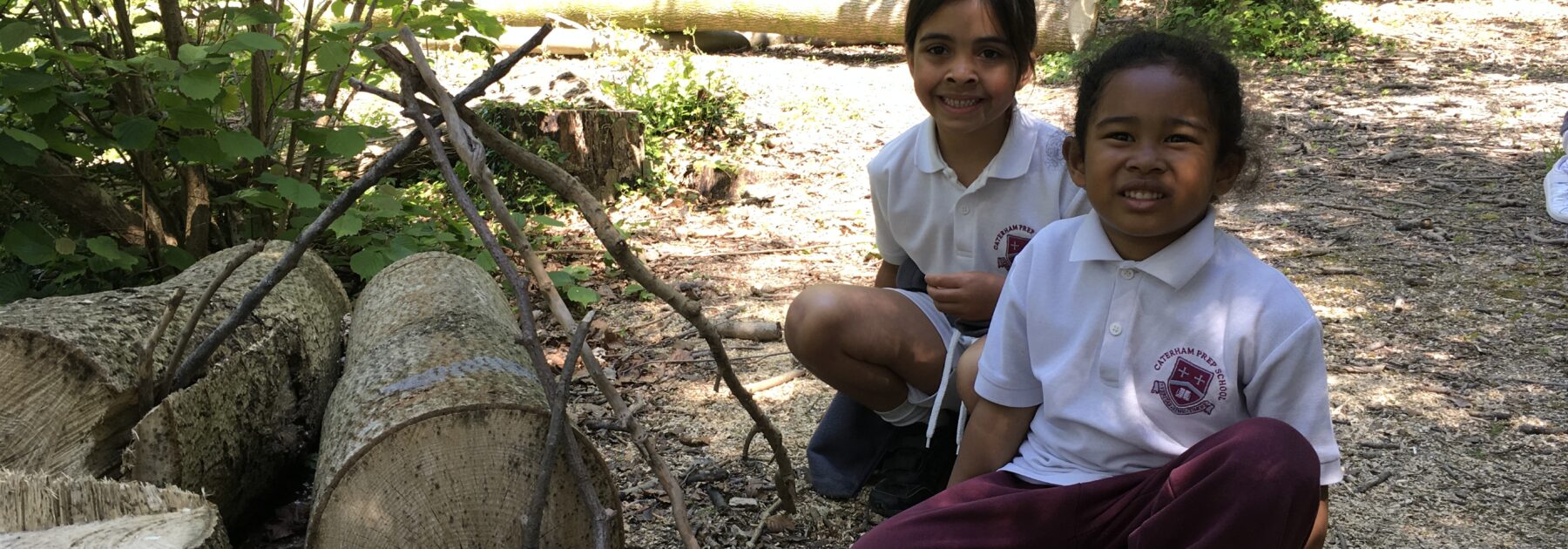 Year 1 Explore the Woodland