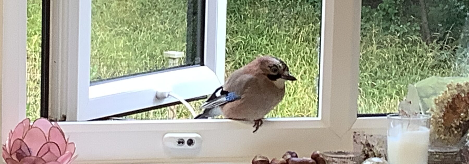 A Small Visitor in the Science Lab