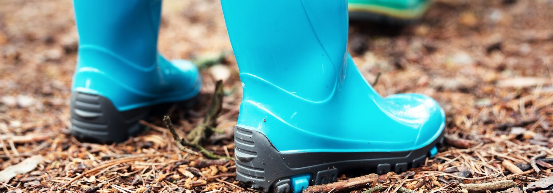 Wild Welly Walk Saturday 27 January