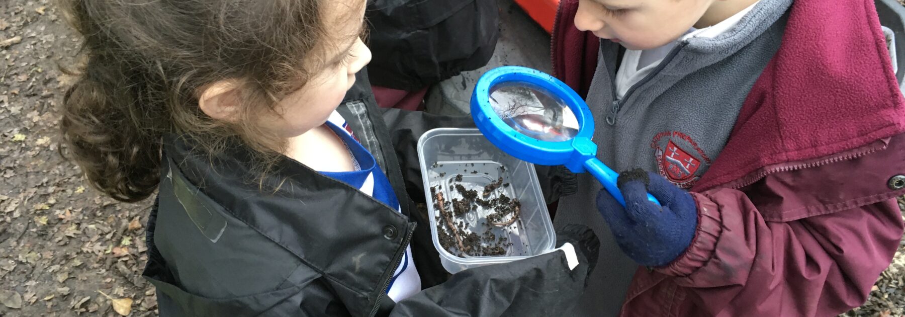 Wonderful Worms Under the Magnifying Glass