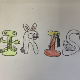 Year 2 Art Animal Letters 2