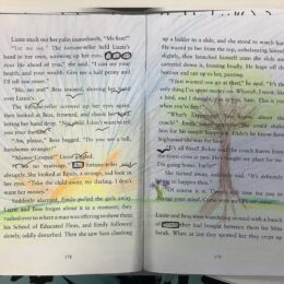 Year 4 Art Blackout Poetry2