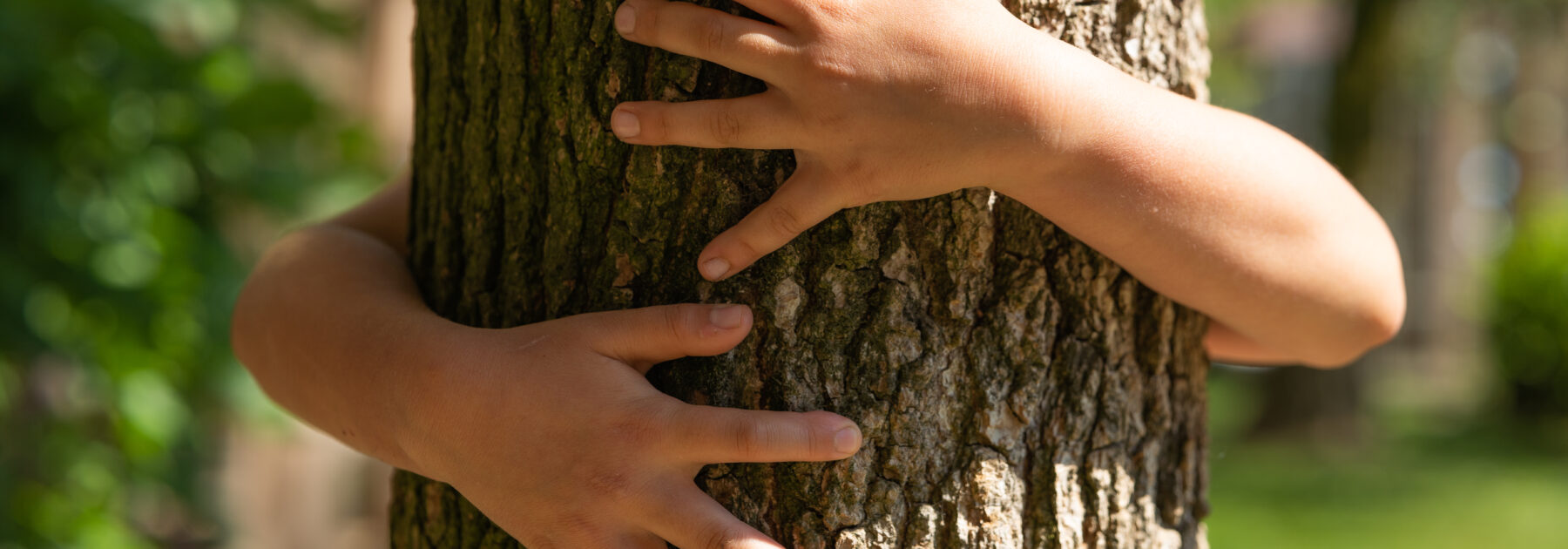 Forest Friends Family Visitor Morning – Saturday 10 May