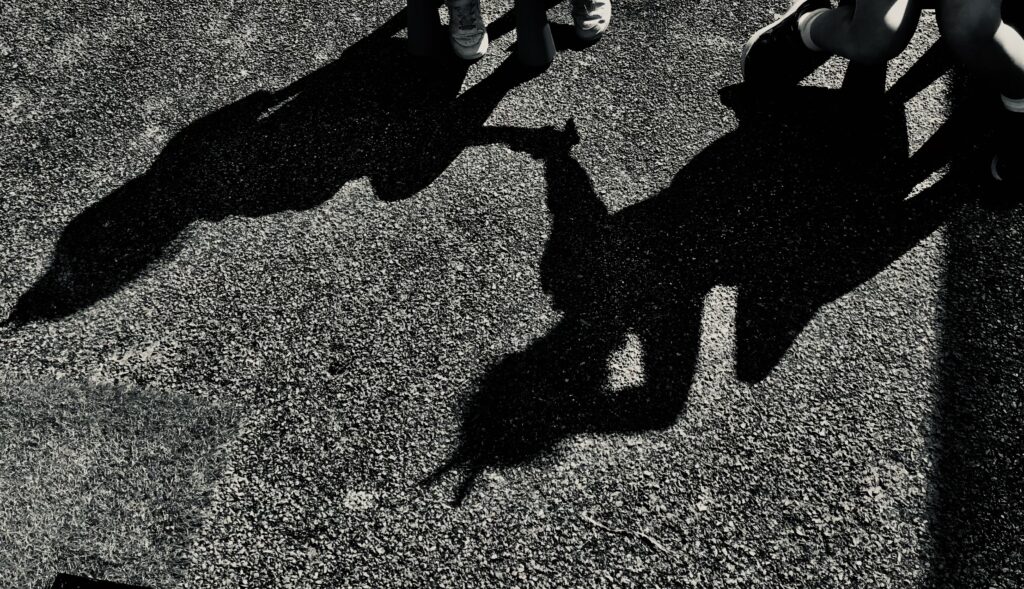 Shadow 2