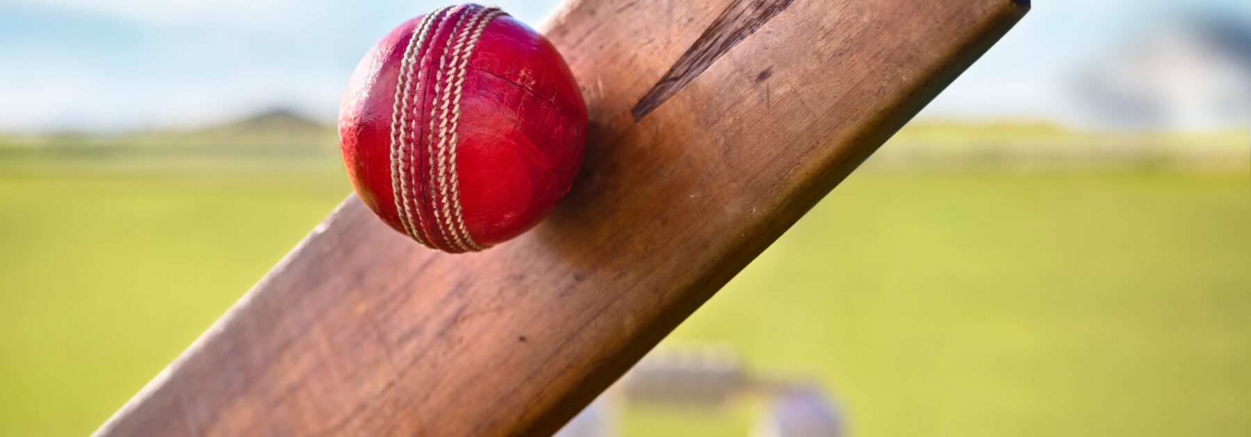 Fantastic Week for Cricket