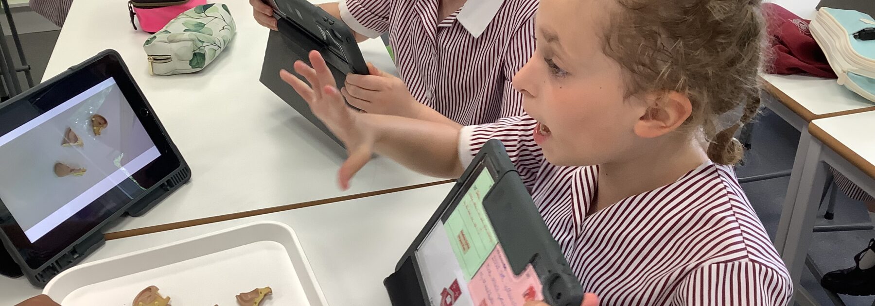 Year 4 are all ears in Science!