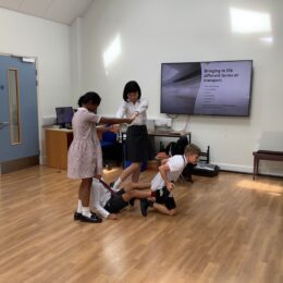 IMG 0608