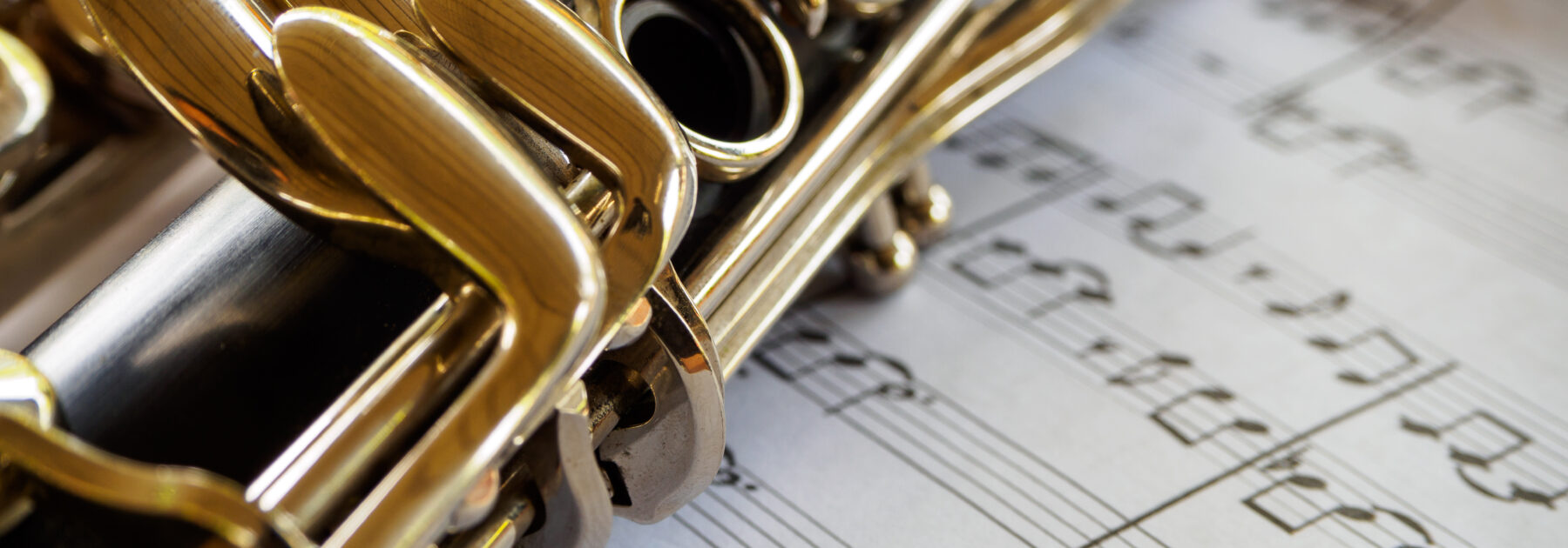 Brass & Woodwind Scheme in Full Swing!