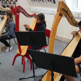 Harp Harmony