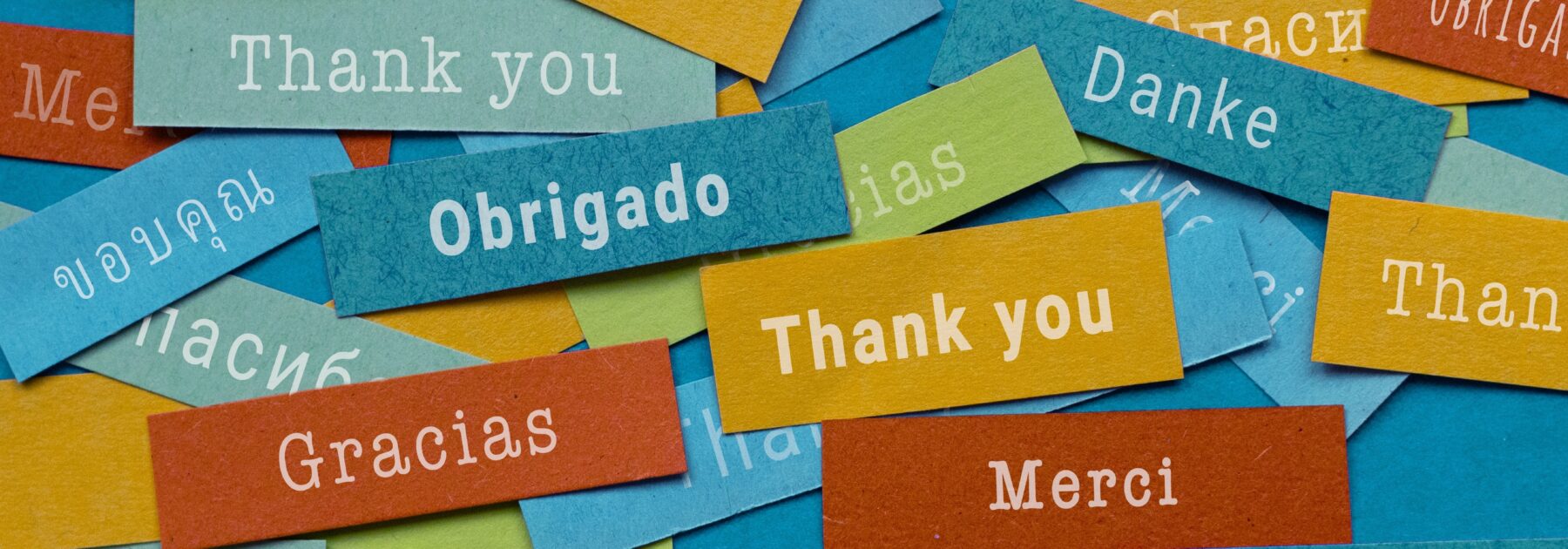 Young Linguists Make Their Mark at Languagenut Competition