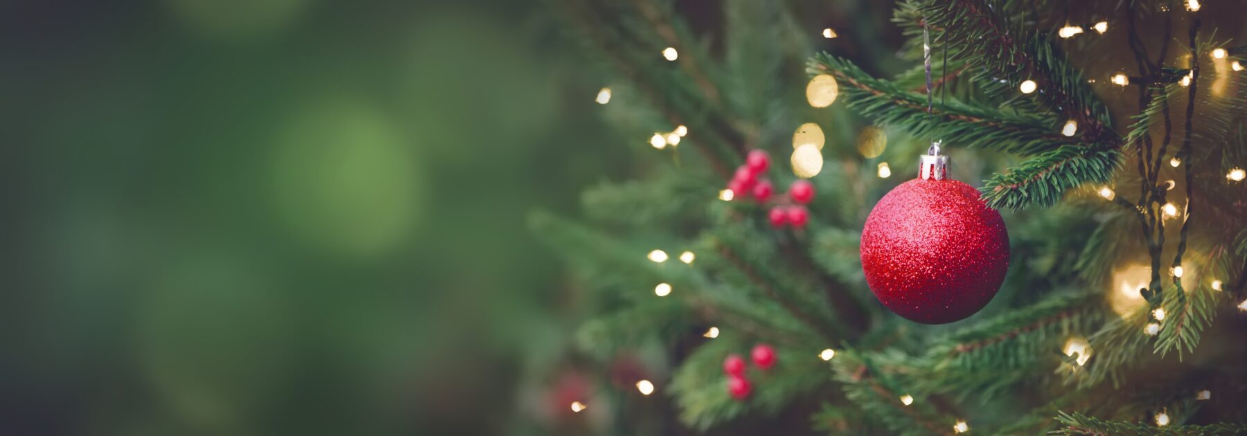 Christmas Magic at Santa’s Grotto