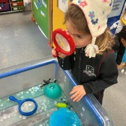 34b9c789 4569 4fe0 B814 565c5c3fec39