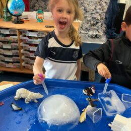 90b4c31a C0c3 4e8d 9206 26bdb267299a