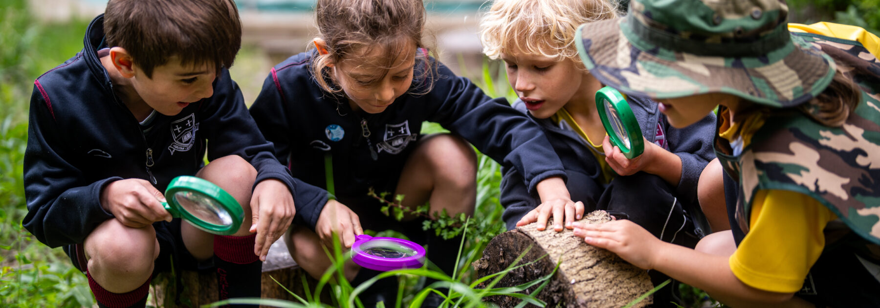 Caterham Prep Awarded Eco Award with Distinction 2026