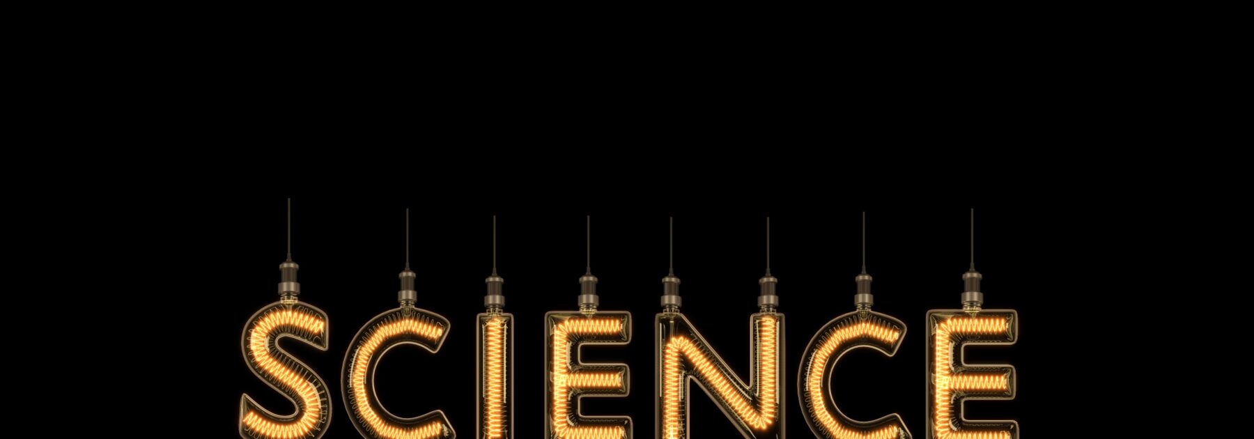 Science Festival 2026