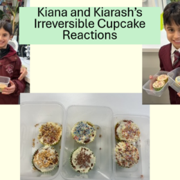 8f8f6fa8 36ea 4207 8eb1 37a4b777da47