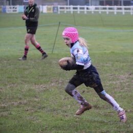 9f3451d7 D8b9 46e9 886b 27ed4cdc7757