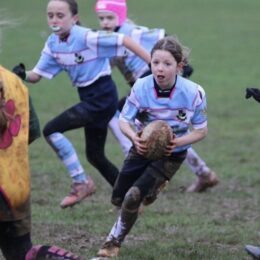 B2d6d0a1 C239 4893 Aa34 03095ee53e11