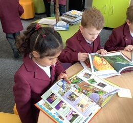 Dc1db0ef 92a7 49ad 8ee7 2759c570bc01