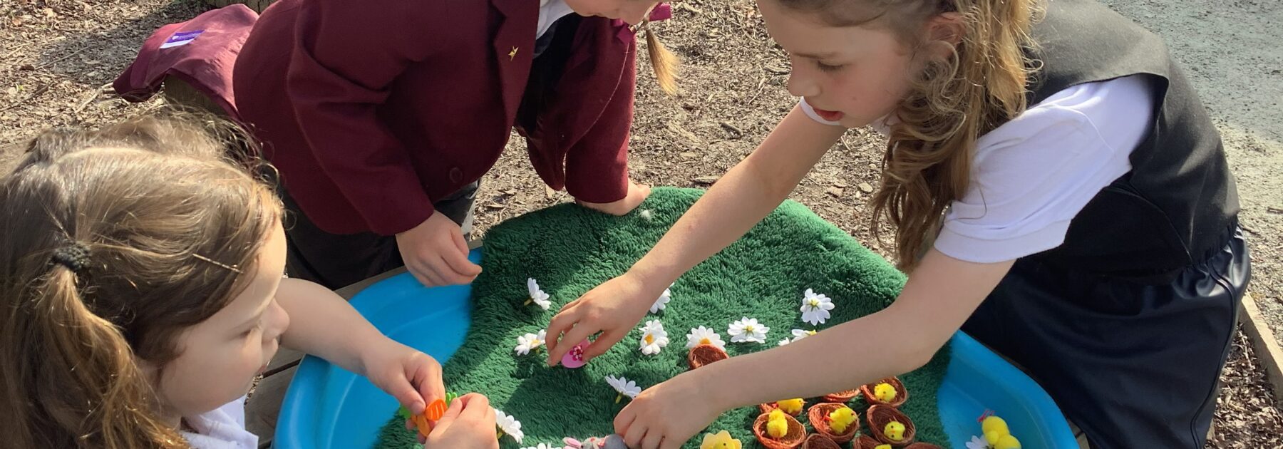 Chickens Aren’t the Only Ones Who Lay Eggs!