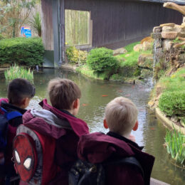 20260325 105347766 IOS