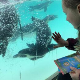 20260325 113005955 IOS