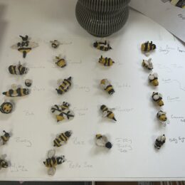 6B Plast Bees