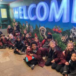 6f477802 094a 4120 9f97 Deb7879a5bcf