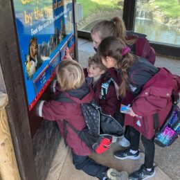 7d9c9025 C285 4965 A835 69940c7ade67