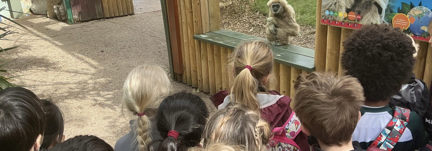 Year 2 Visit Drusilla’s