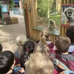 8384f873 5df2 43c6 A240 885a697bda3f