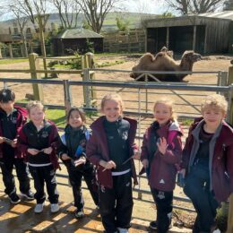 E330f7ef 9dec 40e9 908c 78e7b89ebf0c