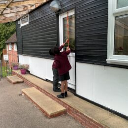 Ecaead3d Babb 4566 Bf89 258b366e4c1d