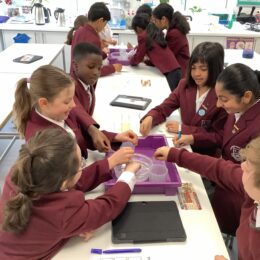 20260327 085447223 IOS