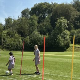 IMG 0974