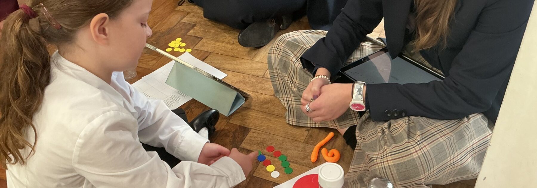 Exploring Cognitive Development with Upper Sixth